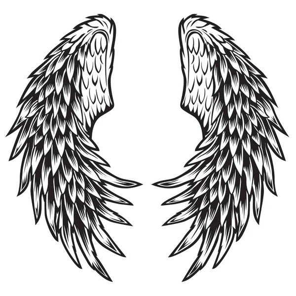 Vleugels Vogel Zwart Wit Vogel Vleugels Veren Vector Illustrator — Stockvector