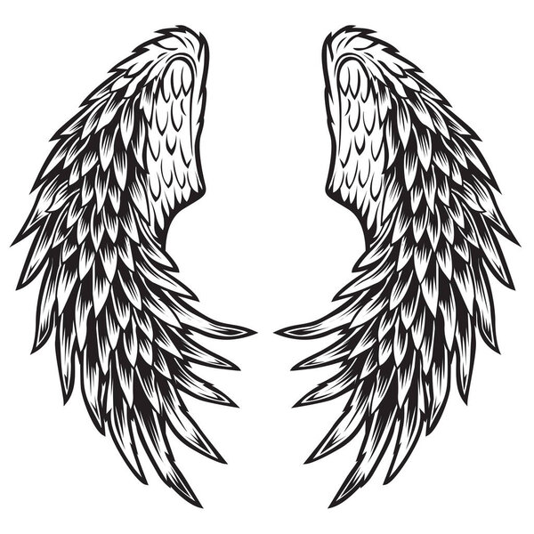  Wings Bird Black & White bird wings feathers Vector Illustrator