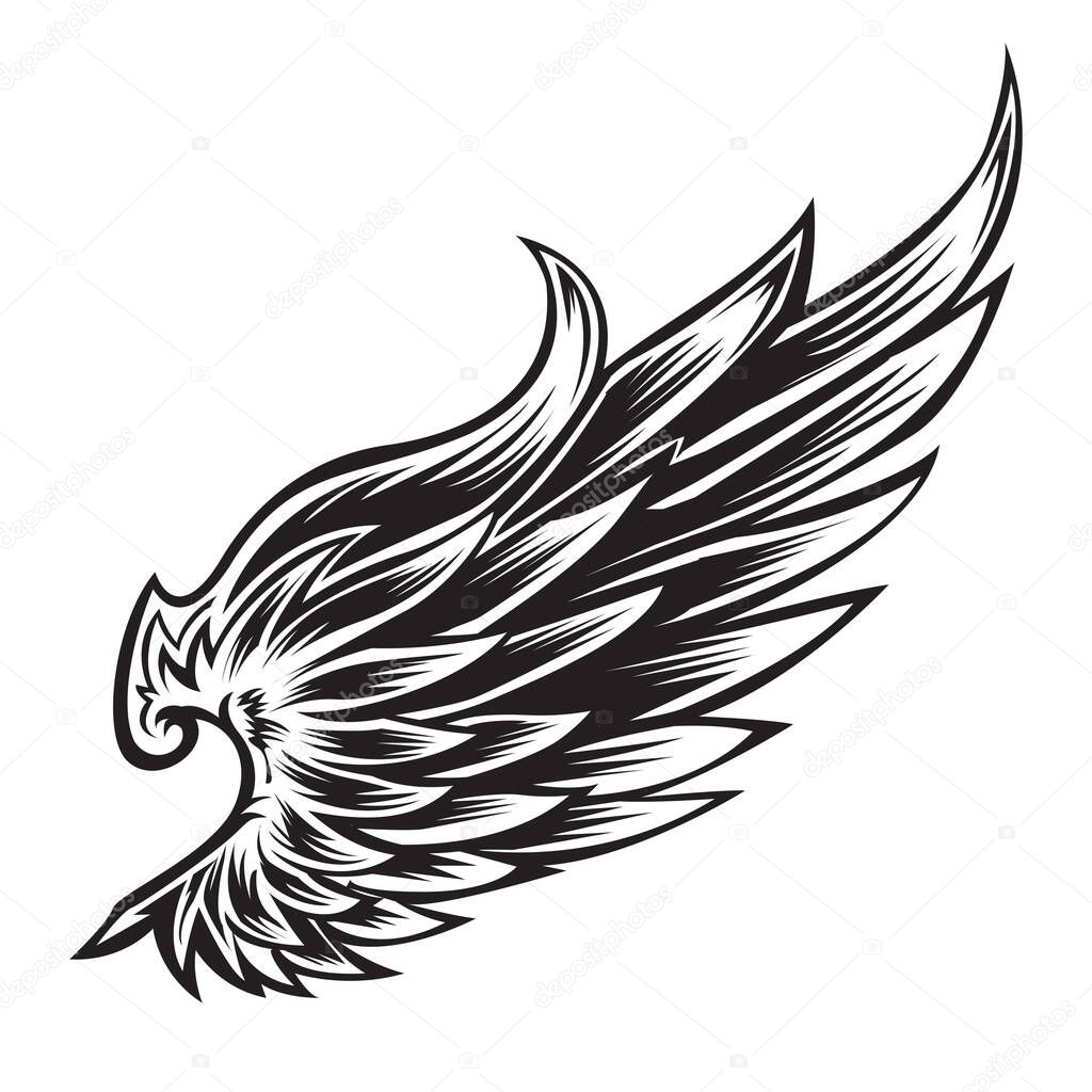  Wings Bird Black & White bird wings feathers Vector Illustrator
