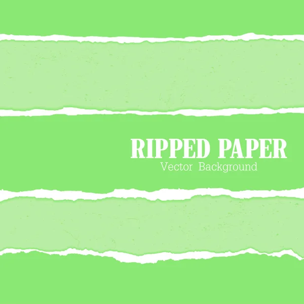 Ripped paper Vector of ripped paper the paper was ripped background illustration
