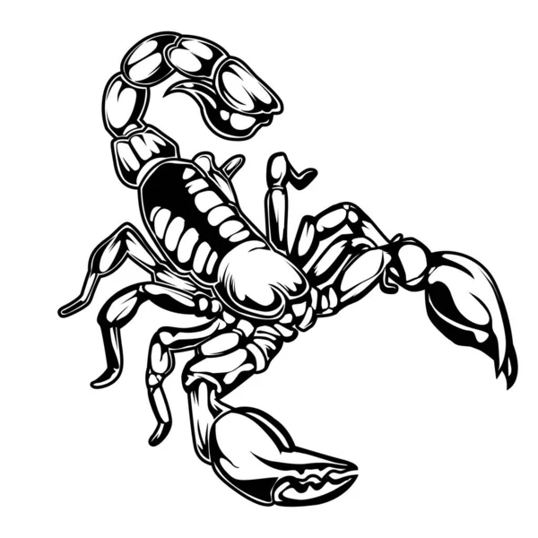 Skorpioner Teckning Logotyp Vektor Illustration — Stock vektor