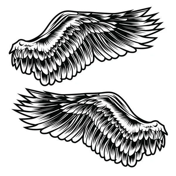 Alas Pluma Pájaro Negro Blanco Tatuaje Vector — Vector de stock