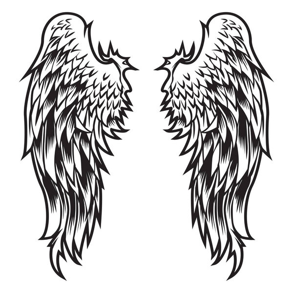 Wings Bird featherBlack & White Tattoo Vector Illustrator 