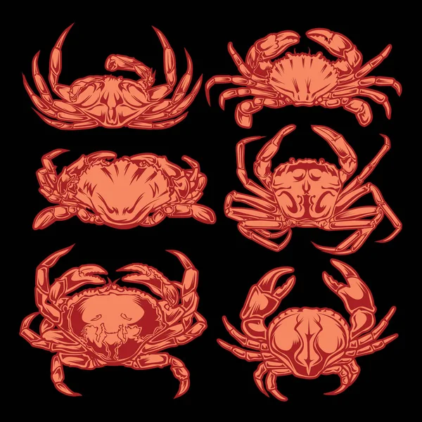 Desenho Vintage Crab Animal Set Seafood Ilustração Vector —  Vetores de Stock