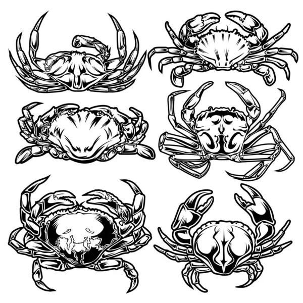 Kreslení Vintage Crab Animal Set Mořské Plody Ilustrační Vektor — Stockový vektor