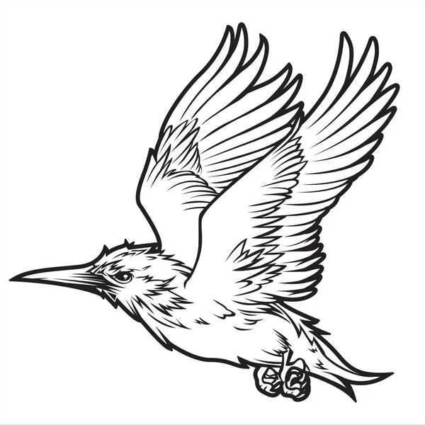 Birds Annimal Wing Drawing Vector Icon Logo Vintage Illustration — 스톡 벡터