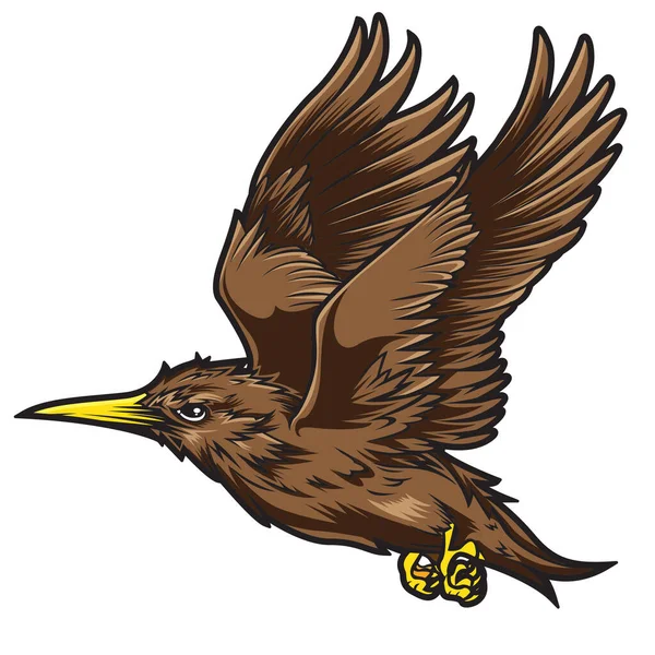 Oiseaux Annimal Wing Drawing Vector Icône Logo Vintage Illustration — Image vectorielle
