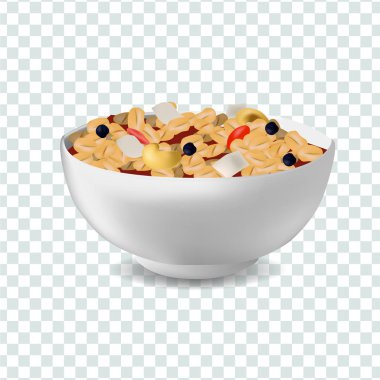 Vektör gerçekçilik stil illüstrasyon müsli kase