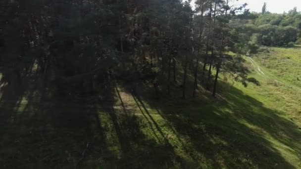 Camino del bosque, el vuelo de un dron sobre el bosque — Vídeos de Stock