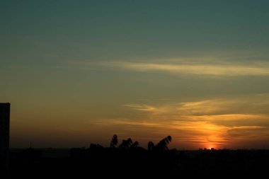 Karşıt gökyüzü, uzaktaki bir metropolün arka planında parlak bir günbatımıdır. Ufuk çizgisi çok büyülü ve heyecan vericidir. Bu bir kıyamettir.