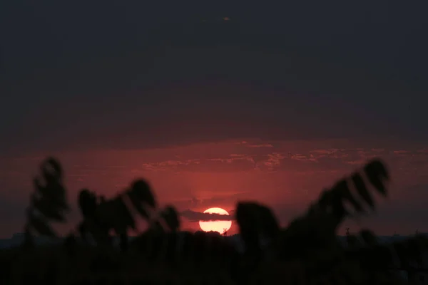 Ein Purpurroter Himmel Einem Kontrastierenden Sonnenuntergang Über Einer Großen Stadt — Stockfoto