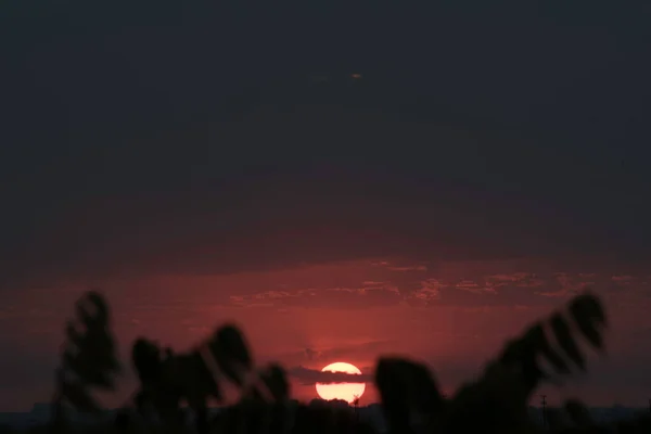 Ein Purpurroter Himmel Einem Kontrastierenden Sonnenuntergang Über Einer Großen Stadt — Stockfoto