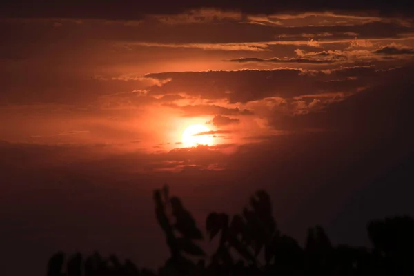 Ein Purpurroter Himmel Einem Kontrastierenden Sonnenuntergang Über Einer Großen Stadt — Stockfoto