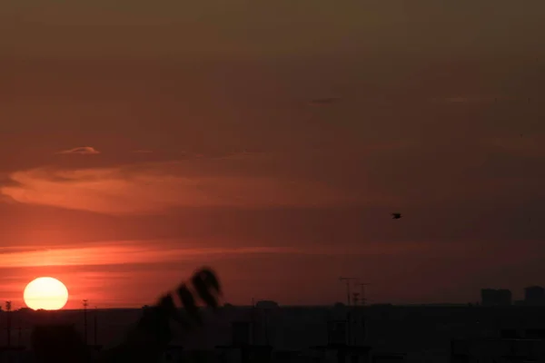 Karmosinblå Himmel Kontrasterande Solnedgång Över Stor Stad Ukraina Staden Charkiv — Stockfoto