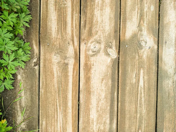 Holzbelag Aus Brettern Mit Grünem Gras Der Seite Hintergrund Aus — Stockfoto