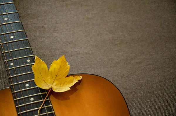 Close-up yellow maple leaf on guitar isolated on a blurred gray background with copy space. Autumn concept. Music concept. Guitar neck texture. Gray fabric surface. The creative process.