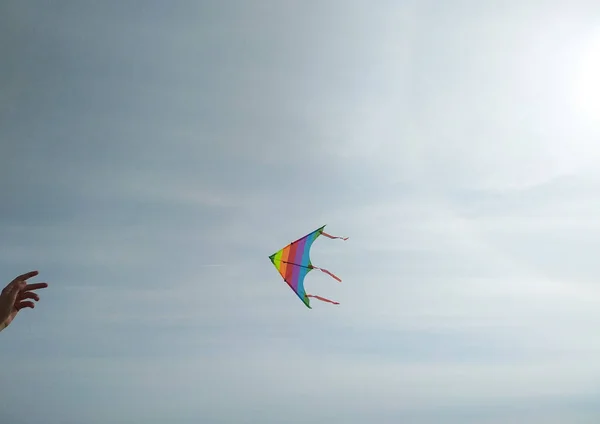 Fly a kite in the wind against clear blue sky with copy space. Close-up view of the striped rainbow kite flying in the sky on line. Freedom concept.