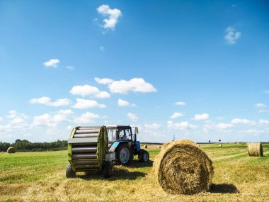 Traktör buğday samanı hasat ediyor. Saman balyası. Boşluk. Kırsal yaşam, kırsal bir traktör yeşil bir çayırda bir demet saman toplar. Çim, çember.