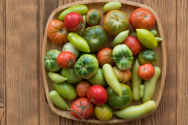 Tomates rojos y verdes sobre fondo de madera. Cosecha de tomate — Foto de Stock