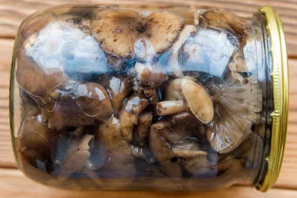 Армілярія смажені гриби в скляній банці — стокове фото
