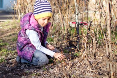 Kız baharda bahçede yürür. Böceği ara, düşün. Sürpriz bitkiler..
