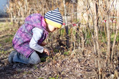Kız baharda bahçede yürür. Böceği ara, düşün..