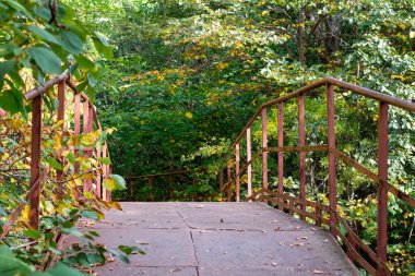 Ormandaki bir derenin üzerindeki demir köprü. Ağaçlar yetişir. Ormanda yürü, insan yok..