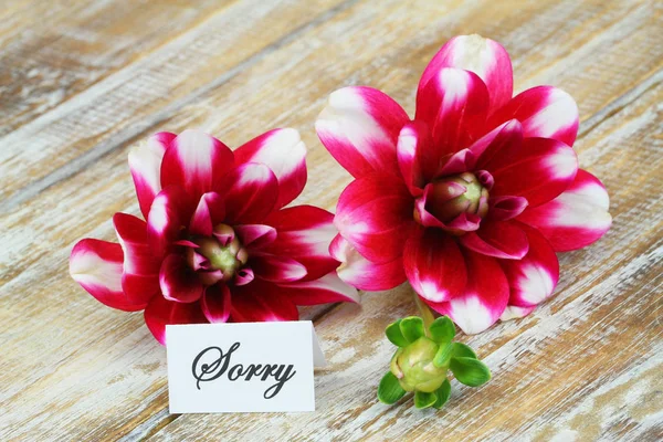 Trauerkarte Mit Dahlienblüten Auf Holzoberfläche — Stockfoto