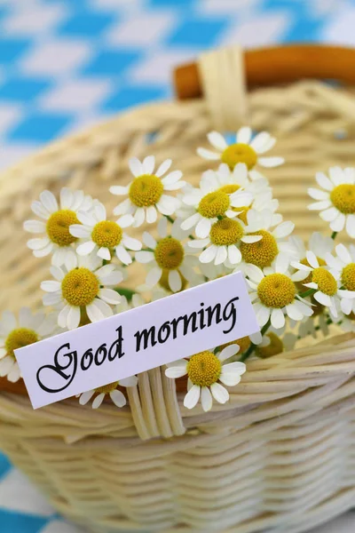 Goedemorgen Kaart Met Kamille Bloemen Rieten Mand — Stockfoto