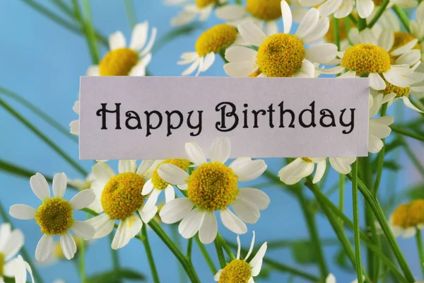 Bonne Carte Anniversaire Avec Des Fleurs Camomille Photo De Stock