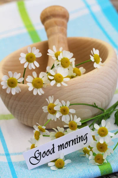 God Morgon Kort Med Färsk Kamomillblommor — Stockfoto