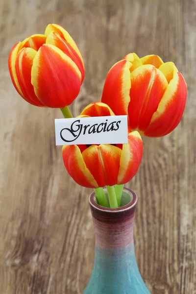 Gracias Kartu Což Znamená Děkuji Španělštině Červeno Žluté Tulipány — Stock fotografie