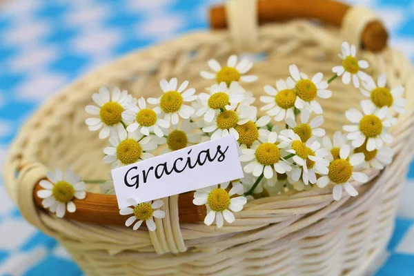 Gracias Kartu Což Znamená Děkuji Španělštině Květy Heřmánku Proutěném Koši — Stock fotografie