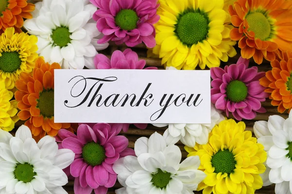 Thank You Card Colorful Santini Flowers — Stock Photo, Image