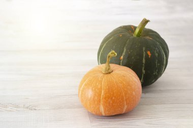 Hafif bir arka plan üzerinde iki olgun kabak. Sonbahar hasadı. Halloween