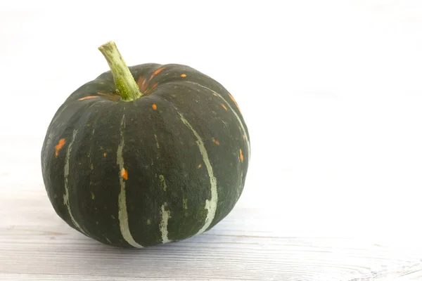 Green ripe pumpkin on a light background. Autumn harvest. Halloween — Stock Photo, Image