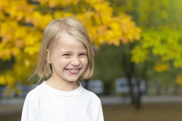 公園のカラフルな秋の木々の背景に小さな美しい女の子の肖像画 — ストック写真