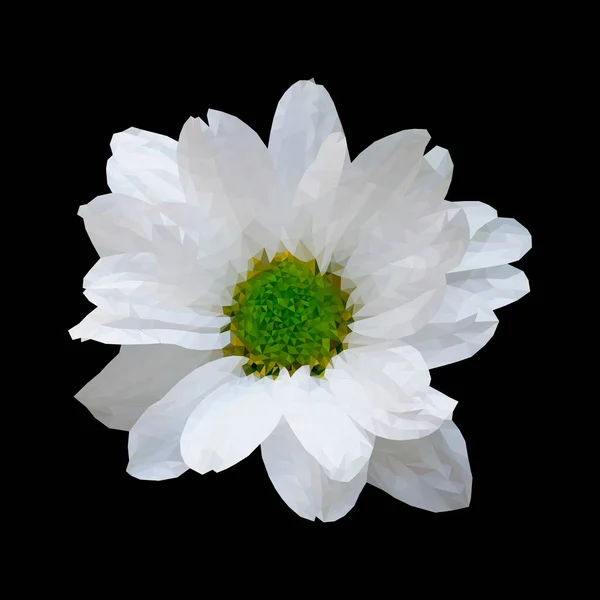Ilustração vetorial de flor de camomila em estilo poli baixo. Isolar polígono no fundo preto —  Vetores de Stock