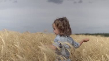 Buğday tarlasında oynayan bir kız