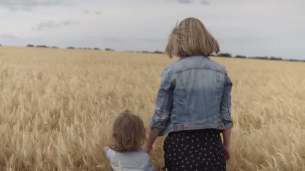 Una donna con un bambino che cammina in un campo di grano — Video Stock