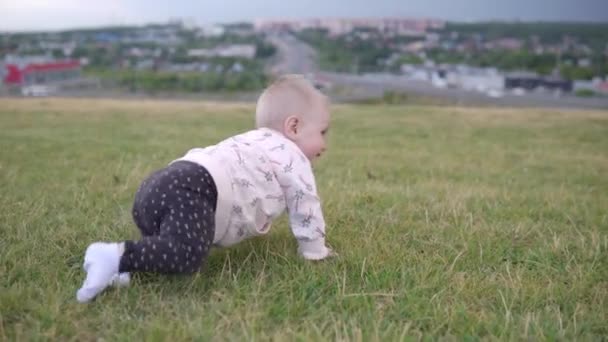Dziecko Zewnątrz Czołgające Się Trawniku — Wideo stockowe