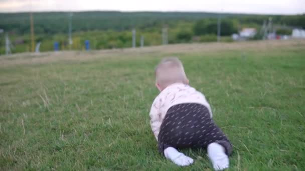 Buiten Kind Kruipend Het Grasveld — Stockvideo