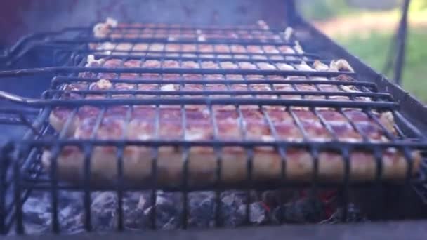 Grilled Sausages Fried Smoked Charcoal Grills Sausages Natural Shell — Stock Video