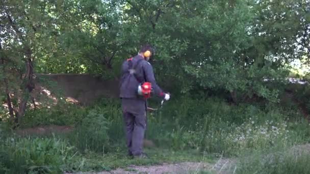 Männlicher Rasenmäher Mit Einem Gemeinsamen Flachen Gemähten Gras — Stockvideo