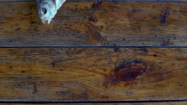 Poisson Séché Servi Bière Sur Table — Video