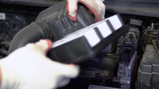 Reparador Instala Novo Filtro Motor Carro — Vídeo de Stock