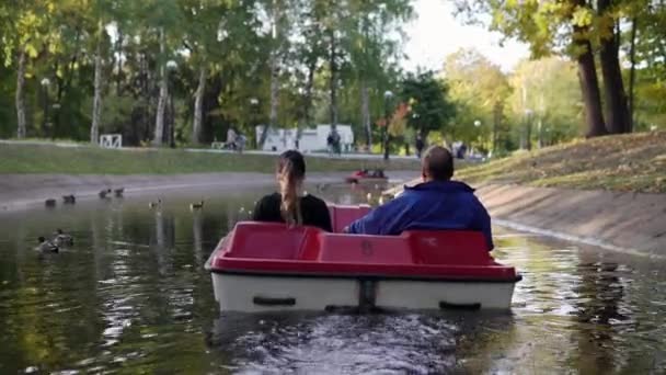 Дорослий чоловік і жінка їдуть катамаран на ставку в парку — стокове відео