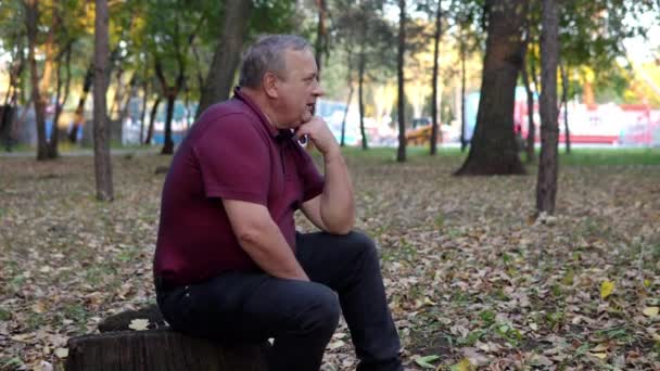 Um homem adulto senta-se em um toco de árvore no parque e pensa — Vídeo de Stock
