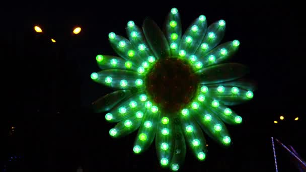 Eine Blume im Park leuchtet nachts mit bunten Lampen — Stockvideo