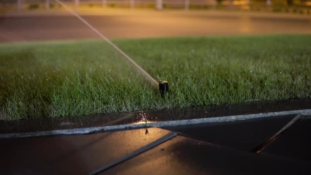 Soirée arrosage de la pelouse, un arroseur pulvérise l'herbe — Video